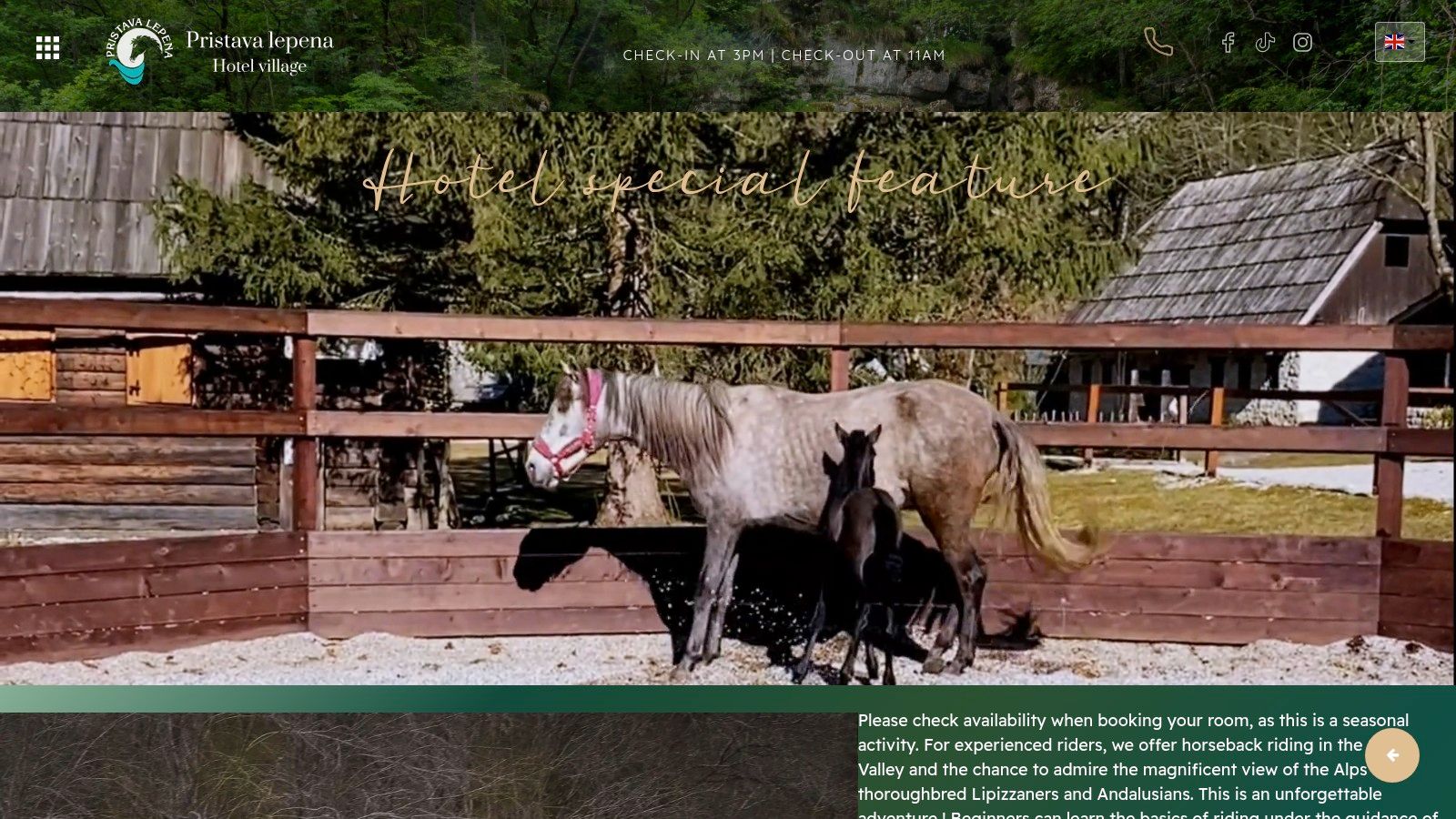 Pristava Lepena – Horses